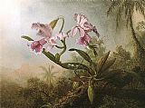 Martin Johnson Heade Orchids and Hummingbird 1875 painting